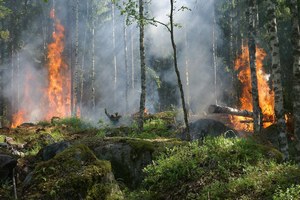 Fase di attenzione incendi boschivi fino al 17 settembre 2023